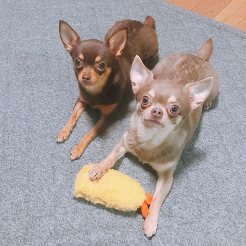 mylittlepethelpers - Shrimpy Fun